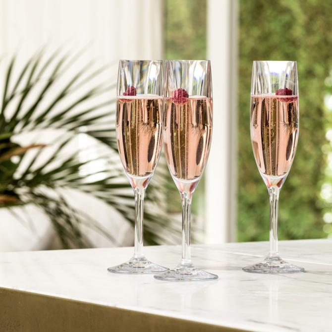 Strahl Design + Contemporary Polycarbonate Champagne Flutes